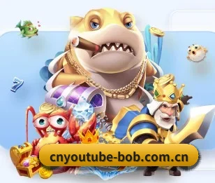 BOB体育官网的故事 - 体育资讯内容服务